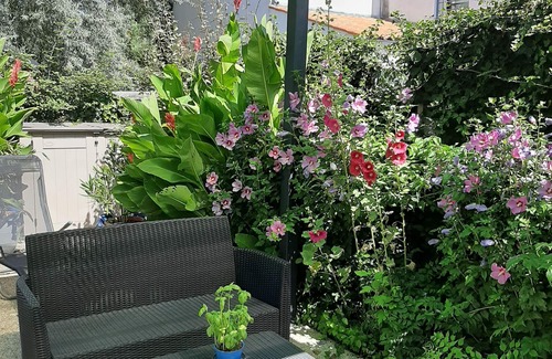 La Cotiniere Apartment | Cotinière - Nice Studio ranked 3 STARS - 200 m from the sea -700 m Port