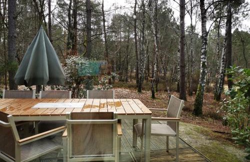 Chaumont-sur-Tharonne House | Cottage 8P-Les hauts de bruyères-717