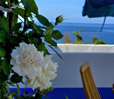 Vila Franca do Campo Apartment | Cottage Cantinho da Quinta