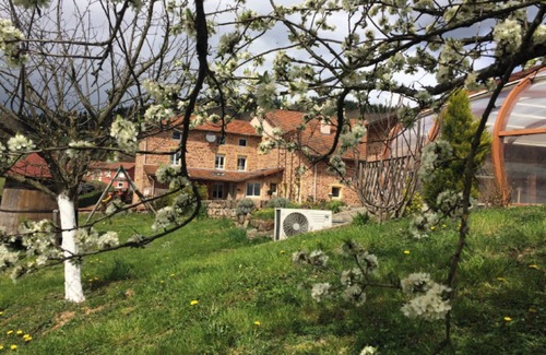 Sevelinges House | Cottage 'Gite Les Cerisiers' with Private Terrace, Private Garden and Wi-Fi