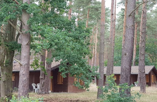 Colbitz House | Cottage in the middle of the forest