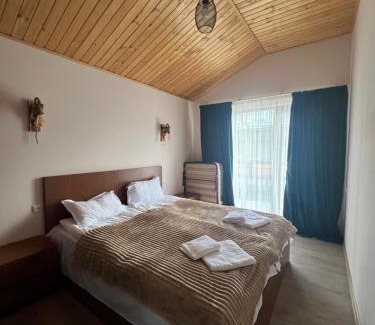 Bakuriani House | Cottage Mountain Dew in Bakuriani