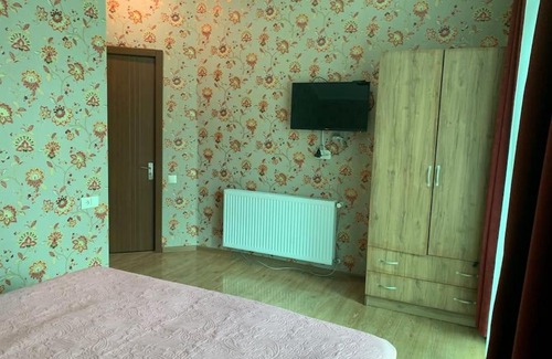 Bakuriani Ski Chalet | Cottage near Didveli