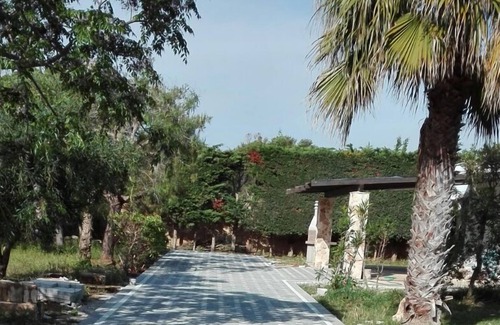 Pizzo House | cottage near the sea