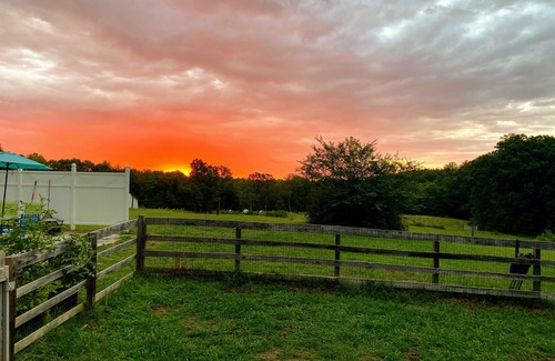 Walnut Cove House | Cottage on 2 acres near Hanging Rock State Park & wedding venues. Pet friendly.