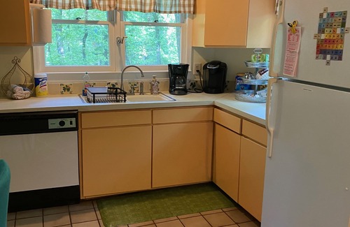 Athens Cottage | Cottage On Beech Haven In The Woods- 2.8 miles from UGA Campus