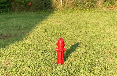 Colonial Beach House | Cottage on The Point! Bring your bikes & golf cart, and your pets!