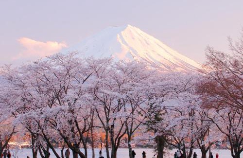 Fujikawaguchiko House | Cottage Pastorale