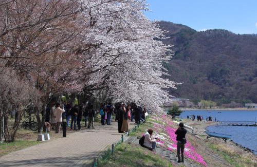 Fujikawaguchiko House | Cottage Pastorale