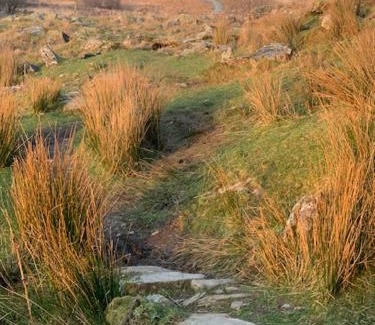 Capel-Curig House | Cottage Retreat Snowdonia