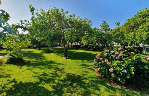 Setubal Cottage | COTTAGE WITH BACKYARD 40 MINUTES FROM LISBON
