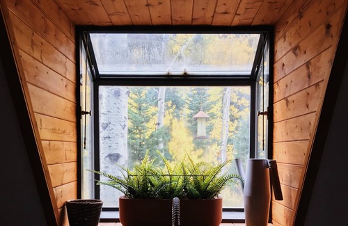 Salt Lake Mountain Resorts House | Cottonwood Chalet