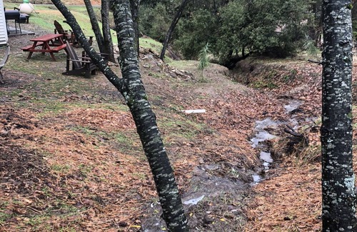 Oakhurst House | Country cabin 11 min to Yosemite toll- 13, guest 7 beds game room 2000 Ft