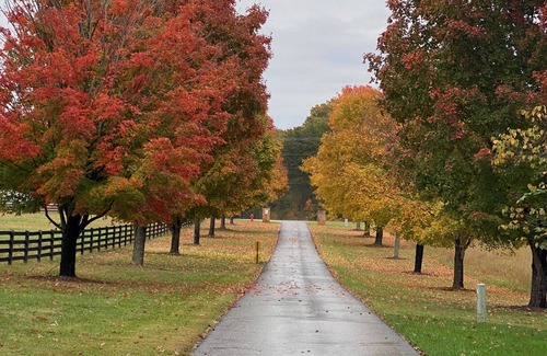 Evington House | Country Cottage