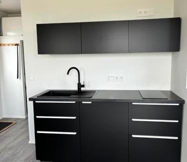 Rangarþing eystra Apartment | Country cottage with great view to the glacier, Eyjafjallajökull and Westman Islands
