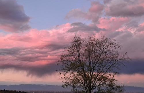 Rovolon House | Country House Bucaneve