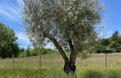 Brignac-la-Plaine House | Country house on family property