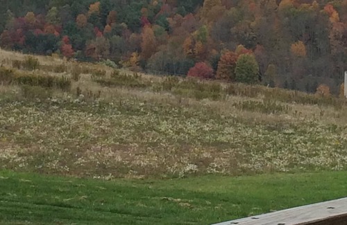 Ralston Apartment | Country setting, nice views, near state game land trails.