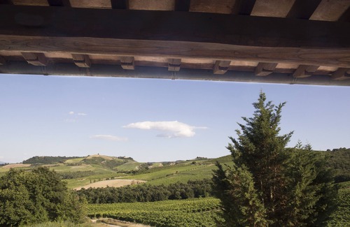 Castel Viscardo Villa | Countryhouse/Villa - Orvieto