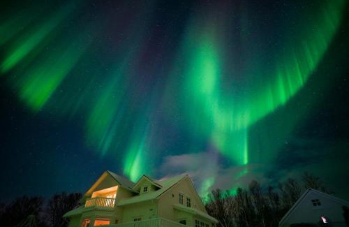 Lyngen Other | Countryside Tromsø- Cozy glass- roof cabins- Aurora wonderland