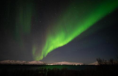 Lyngen Other | Countryside Tromsø- Cozy glass- roof cabins- Aurora wonderland