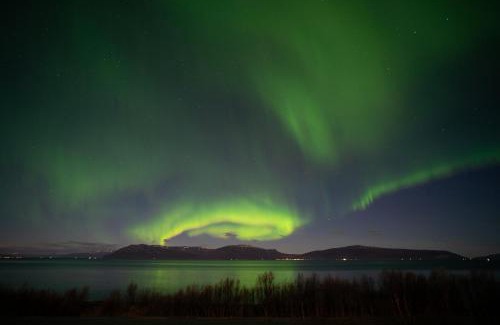 Lyngen Other | Countryside Tromsø- Cozy glass- roof cabins- Aurora wonderland