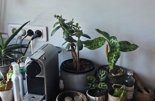 Cœur de Ville Apartment | Courbevoie-manhattan, Idéalement Situé et Équipé