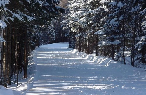 Constableville Cabin | Coyote Den, Snowmobile-Guest Cabin-Constableville, ~NY~