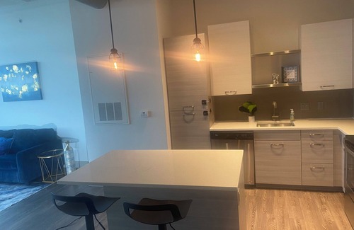 Old Fourth Ward Apartment | Cozy 1-bedroom apartment in beautiful downtown Atlanta with amazing view