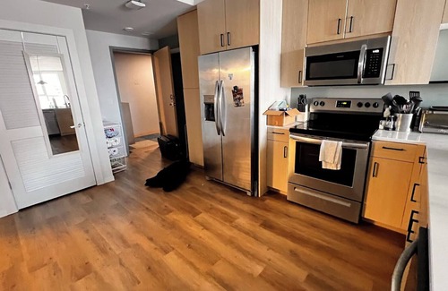 Madison Apartment | Cozy 1-bedroom apartment for yourselfin the middle of downtown with gym, pool