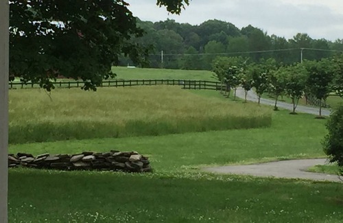 Mechanicsville House | Cozy 1-bedroom house with WiFi, AC in charming Charlotte Hall