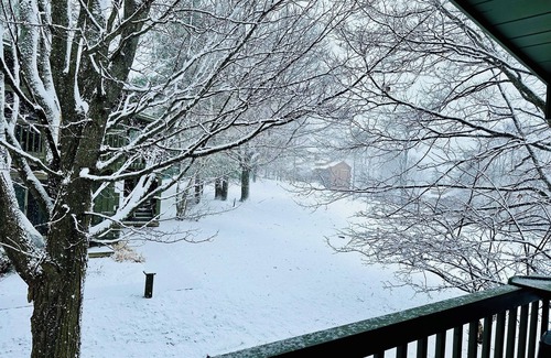 Bellaire Apartment | Cozy 1-bedroom studio in Bellaire-Skiing, Tubing, Golf, Lakes!nn