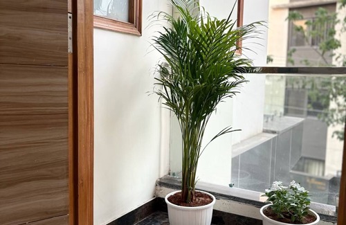 Gurugram Apartment | Cozy 1bhk on golf course road, gurgaon