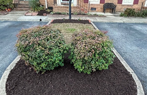 Petersburg House | Cozy 2-bedroom townhome in charming Petersburg with WiFi and lake view