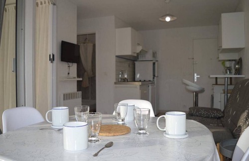 Saint-Cyprien Plage Apartment | Cozy 2-Room Apartment with Terrace, Parking, and BBQ - Close to Beach, Pets Welcome