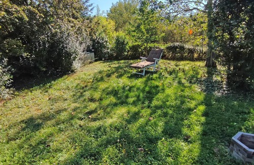 Mainz-Bingen Apartment | Cozy 2-room vacation apartment with terrace