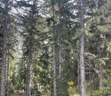 Courchevel Apartment | Cozy 30 m studio to enjoy the mountains