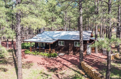 Williams Cabin | Cozy 3BDR Rogue Bear Cabin The Perfect Williams - Grand Canyon Getaway