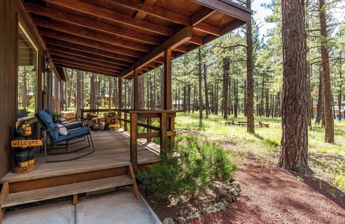 Williams Cabin | Cozy 3BDR Rogue Bear Cabin The Perfect Williams - Grand Canyon Getaway
