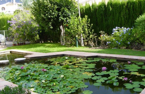 Santa Clara Villa | cozy and charming family villa