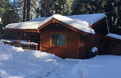 Alta Cabin | Cozy and comfortable wooded cabin