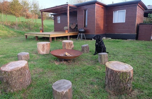 Broadwindsor Cabin | Cozy and Peaceful Cabin 15 Mins From Lyme Regis