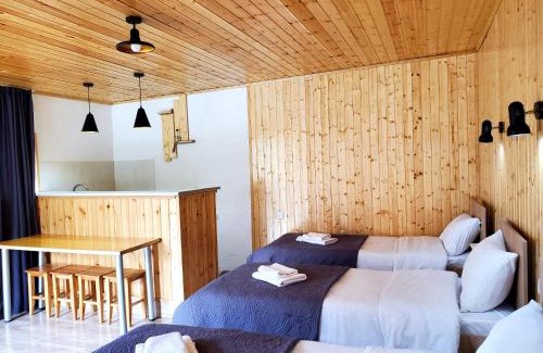 Gergeti Cabin | Cozy apartament