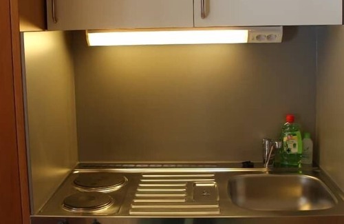 Philippsreut Apartment | Cozy apartment (20 sqm) for up to three people with a balcony