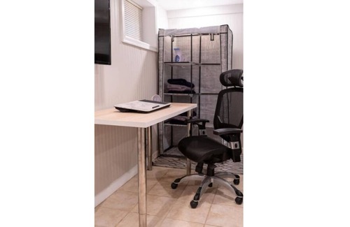 Bellevue Apartment | ★Cozy Basement Studio FREE Parking W/ Lounge Area★