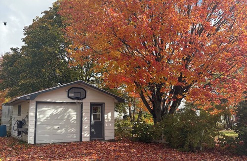 Sydney Apartment | Cozy basement suite in a great central location!