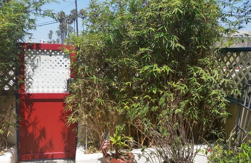 The Jungle Apartment | Cozy Beach Apartment near LAX & Silicon Beach