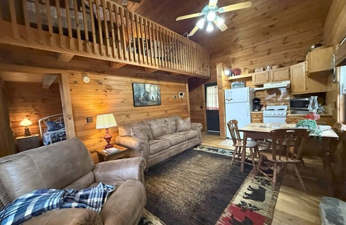 Maggie Valley Cabin | Cozy Bear Log Cabin, View, Wifi, Dogs Allowed