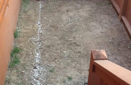 Overgaard Cabin | Cozy Cabin in the White Mountains of Arizona sits on one acre of land!