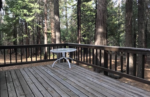 Dorrington Cabin | Cozy cabin near lakes, streams, rivers, hiking trails and shops/restaurants